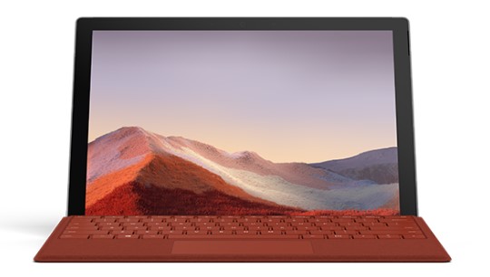 岭东清洁和维护 Surface